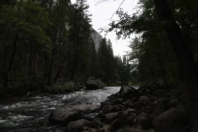 DSC_4627 (Large).JPG